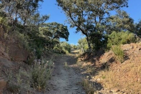 Helårsgrund i Evora, Evora, Evora - € 630.000 | Ref: PROP-026974 - foto 30