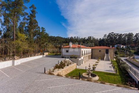 Farm i Ponte de Lima, Viana do Castelo, Ponte de Lima - € 3.950.000 | Ref: PROP-031280 - foto 38