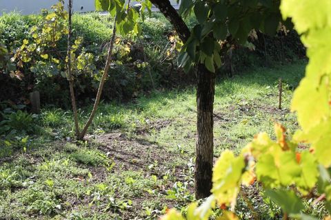 Tomt i Arganil, Coimbra, Arganil - € 34 900 | Ref: TER_4216 - foto 2