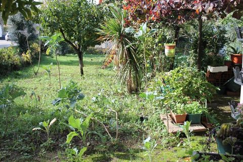 Tomt i Arganil, Coimbra, Arganil - € 34 900 | Ref: TER_4216 - foto 3