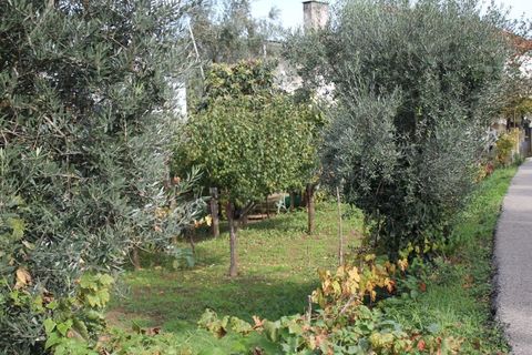 Tomt i Arganil, Coimbra, Arganil - € 34 900 | Ref: TER_4216 - foto 8