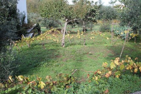 Tomt i Arganil, Coimbra, Arganil - € 34 900 | Ref: TER_4216 - foto 9