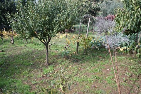 Tomt i Arganil, Coimbra, Arganil - € 34 900 | Ref: TER_4216 - foto 12