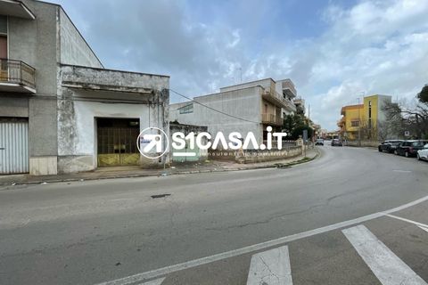 Terra a Galatone, Lecce, Galatone - € 108.000 | Ref: RDZ-1337 - foto 4