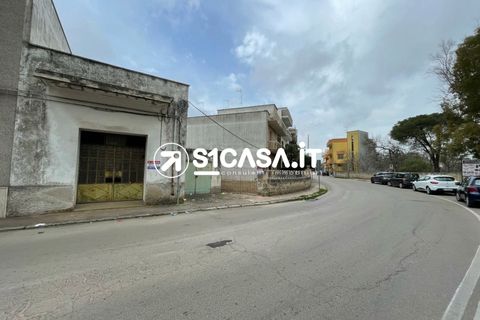 Terra a Galatone, Lecce, Galatone - € 108.000 | Ref: RDZ-1337 - foto 6