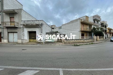 Terra a Galatone, Lecce, Galatone - € 108.000 | Ref: RDZ-1337 - foto 7