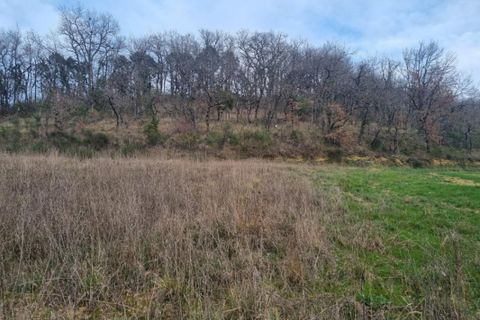 Terra a Auch, Gers, Auch - € 43.000 | Ref: 12011367083 - foto 3