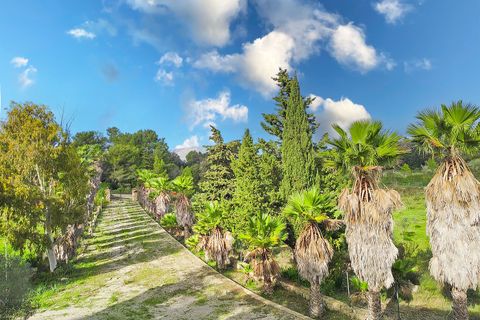 Finca i Arta, Mallorca, Arta - € 2.999.000 | Ref: FALC-AnPa-67769 - foto 18