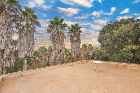 Finca i Arta, Mallorca, Arta - € 2.999.000 | Ref: FALC-AnPa-67769 - foto 23