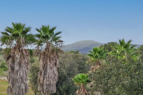 Finca i Arta, Mallorca, Arta - € 2.999.000 | Ref: FALC-AnPa-67769 - foto 24
