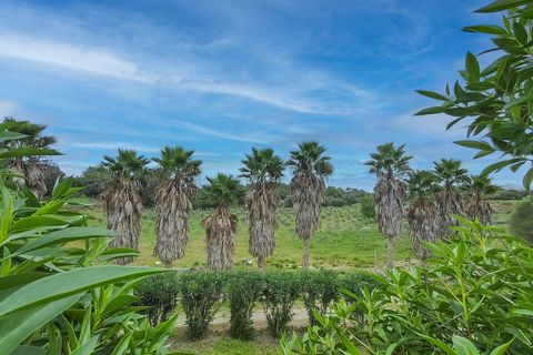 Finca i Arta, Mallorca, Arta - € 2.999.000 | Ref: FALC-AnPa-67769 - foto 36