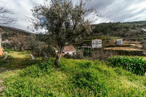 Villa i Seia, Guarda, Seia - € 42.500 | Ref: 382250016 - foto 13