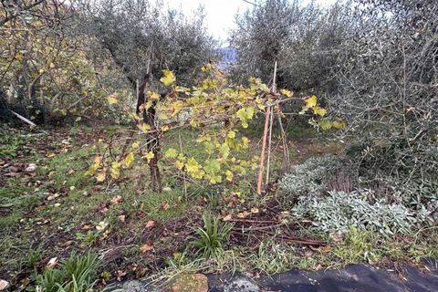 Villa a Piegaro, Perugia, Piegaro - € 98.000 | Ref: PE5284M-470941 - foto 36