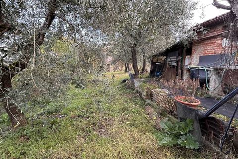 Villa a Piegaro, Perugia, Piegaro - € 98.000 | Ref: PE5284M-470941 - foto 37