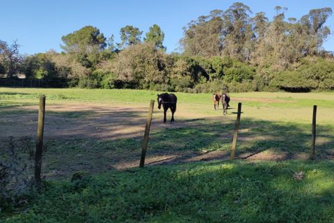 Farm i Obidos, Leiria, Obidos - € 4.500.000 | Ref: MM002410 - foto 17