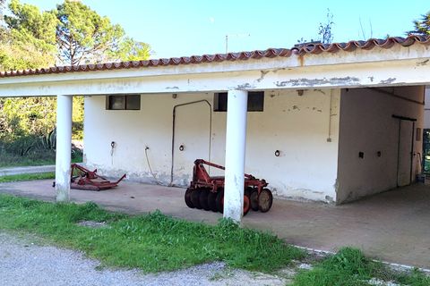 Farm i Obidos, Leiria, Obidos - € 4.500.000 | Ref: MM002410 - foto 23
