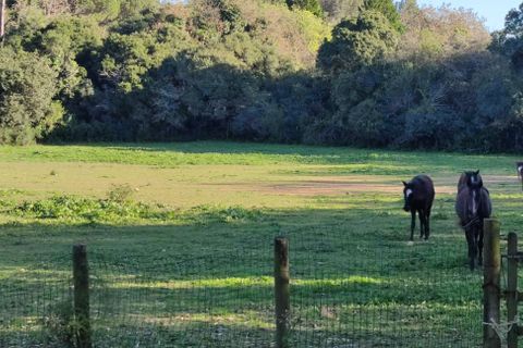 Farm i Obidos, Leiria, Obidos - € 4.500.000 | Ref: MM002410 - foto 20