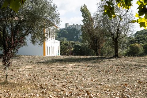 Farm i Obidos, Leiria, Obidos - € 4.500.000 | Ref: MM002410 - foto 16