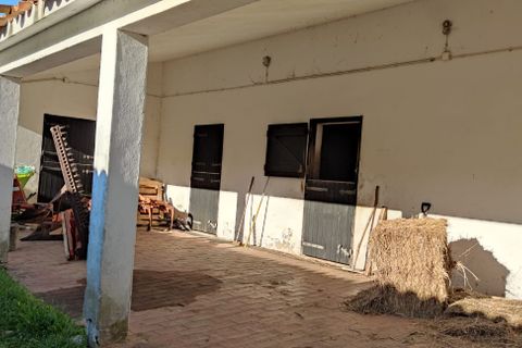 Farm i Obidos, Leiria, Obidos - € 4.500.000 | Ref: MM002410 - foto 19