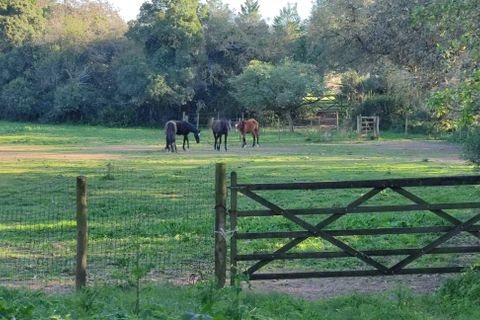 Farm i Obidos, Leiria, Obidos - € 4.500.000 | Ref: MM002410 - foto 18