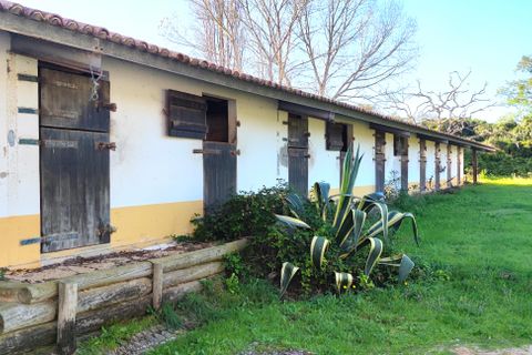 Farm i Obidos, Leiria, Obidos - € 4.500.000 | Ref: MM002410 - foto 24