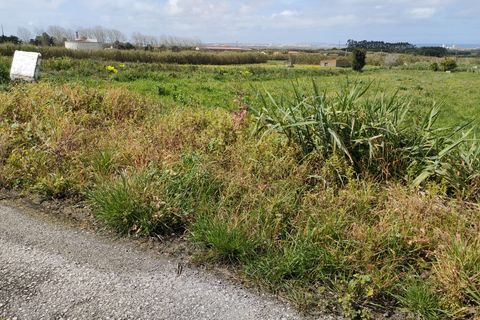 Helårsgrund i Peniche, Leiria, Peniche - € 235.000 | Ref: RVC2900 - foto 6
