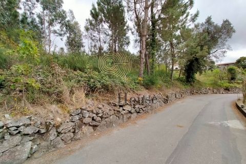 Helårsgrund i Barcelos, Braga, Barcelos - € 215.000 | Ref: SÒL_2530 - foto 2