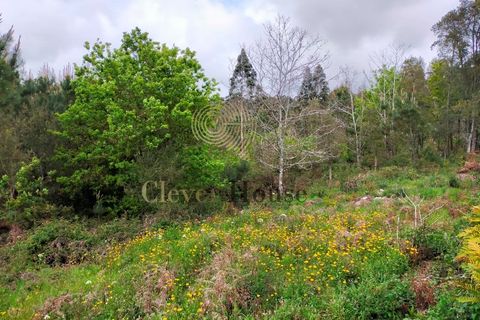 Helårsgrund i Barcelos, Braga, Barcelos - € 215.000 | Ref: SÒL_2530 - foto 5