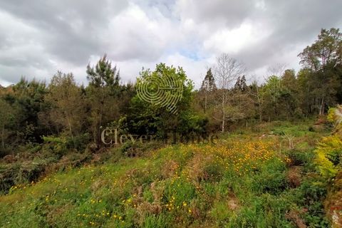 Helårsgrund i Barcelos, Braga, Barcelos - € 215.000 | Ref: SÒL_2530 - foto 3