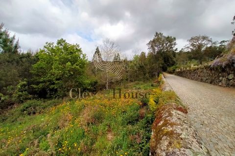 Helårsgrund i Barcelos, Braga, Barcelos - € 215.000 | Ref: SÒL_2530 - foto 7