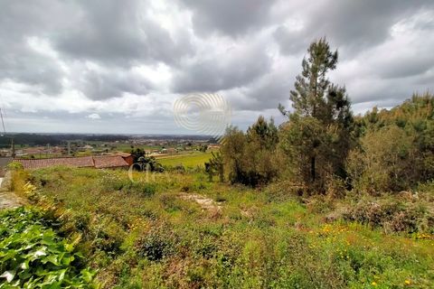 Helårsgrund i Barcelos, Braga, Barcelos - € 215.000 | Ref: SÒL_2530 - foto 4