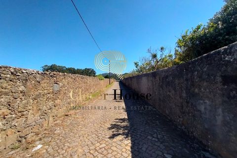 Helårsgrund i Gandra, Braga, Gandra - € 1.200.000 | Ref: SÒL_2692 - foto 6