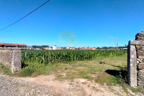 Helårsgrund i Gandra, Braga, Gandra - € 1.200.000 | Ref: SÒL_2692 - foto 7