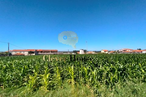 Helårsgrund i Gandra, Braga, Gandra - € 1.200.000 | Ref: SÒL_2692 - foto 10