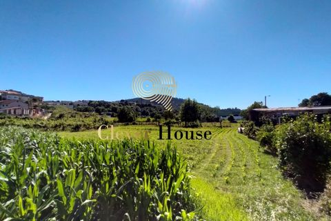 Helårsgrund i Gandra, Braga, Gandra - € 1.200.000 | Ref: SÒL_2692 - foto 12