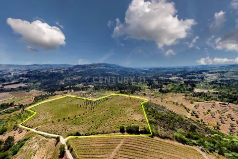 Tomt i Tabuaco, Viseu, Tabuaco - € 197 000 | Ref: C0272-01791 - foto 3