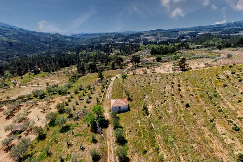 Tomt i Tabuaco, Viseu, Tabuaco - € 197 000 | Ref: C0272-01791 - foto 5