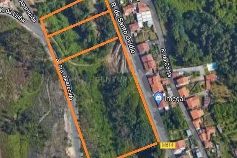 Helårsgrund i Foz do Sousa e Covelo, Porto, Foz do Sousa e Covelo - € 45.800 | Ref: C0272-01492 - foto 1
