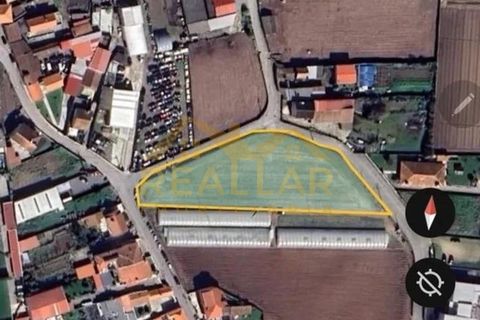 Helårsgrund i Terroso, Porto, Terroso - € 475.000 | Ref: RL-475-323 - foto 6