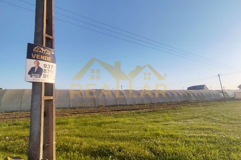 Helårsgrund i Terroso, Porto, Terroso - € 475.000 | Ref: RL-475-323 - foto 5