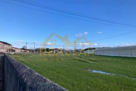 Helårsgrund i Terroso, Porto, Terroso - € 475.000 | Ref: RL-475-323 - foto 7