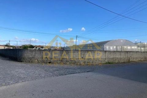 Helårsgrund i Terroso, Porto, Terroso - € 475.000 | Ref: RL-475-323 - foto 12