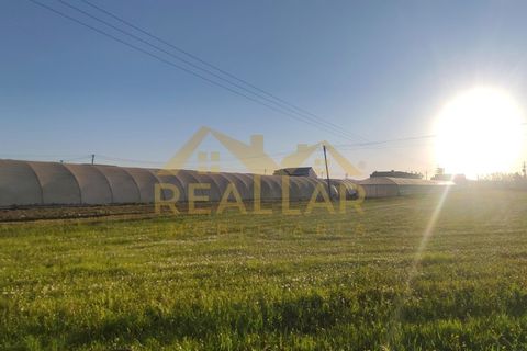 Helårsgrund i Terroso, Porto, Terroso - € 475.000 | Ref: RL-475-323 - foto 15