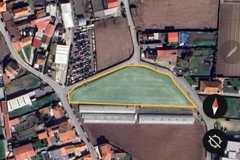 Helårsgrund i Terroso, Porto, Terroso - € 475.000 | Ref: RL-475-323 - foto 22