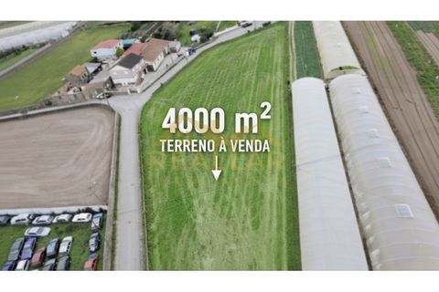 Helårsgrund i Terroso, Porto, Terroso - € 475.000 | Ref: RL-475-323 - foto 1