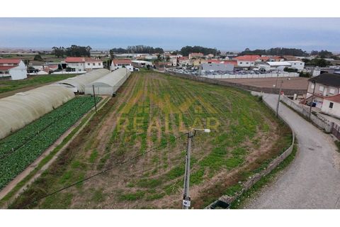 Helårsgrund i Terroso, Porto, Terroso - € 475.000 | Ref: RL-475-323 - foto 3