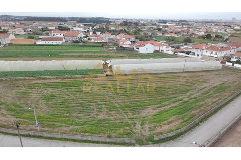 Helårsgrund i Terroso, Porto, Terroso - € 475.000 | Ref: RL-475-323 - foto 4