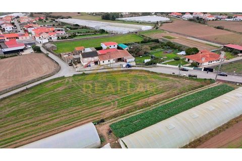 Helårsgrund i Terroso, Porto, Terroso - € 475.000 | Ref: RL-475-323 - foto 17