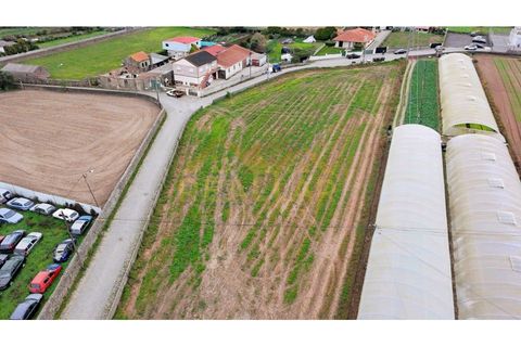 Helårsgrund i Terroso, Porto, Terroso - € 475.000 | Ref: RL-475-323 - foto 19
