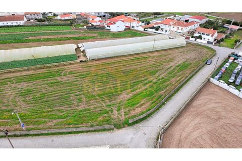 Helårsgrund i Terroso, Porto, Terroso - € 475.000 | Ref: RL-475-323 - foto 20